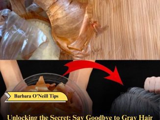 Unlocking the Secret: Say Goodbye to Gray Hair with Grandma’s Onion Recipe