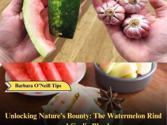 Unlocking Nature’s Bounty: The Watermelon Rind and Garlic Blend