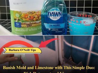 Banish Mold and Limestone with This Simple Duo: Dish Detergent and Vinegar