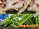 Growing Ginger at Home: A Guide for a Continuous Harvest