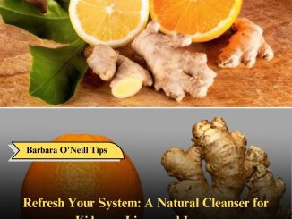 Refresh Your System: A Natural Cleanser for Kidneys, Liver, and Lungs