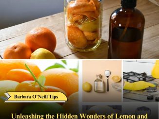 Unleashing the Hidden Wonders of Lemon and Orange Peels