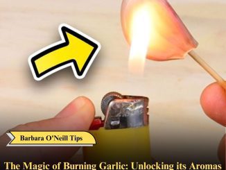 The Magic of Burning Garlic: Unlocking its Aromas and Health Benefits