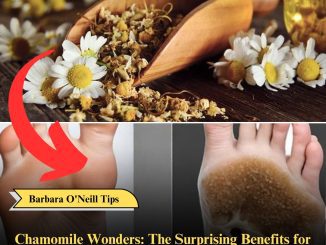 Chamomile Wonders: The Surprising Benefits for Your Feet!