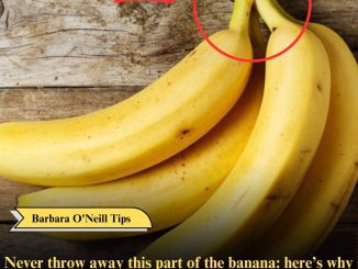 Never throw away this part of the banana: here’s why it’s popular at home