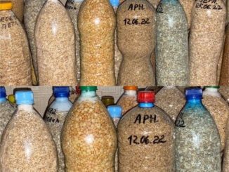 The Ultimate Rice Storage Solution: Preserve Your Rice for a Decade!