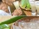 Grandma’s Secret: Aloe Vera Juice Unleashed!