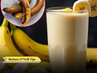 If You Are a Banana Lover, Read These 10 Shocking Facts