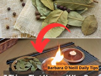 7 Things That Happen If You Burn A Bay Leaf Every Night At Home