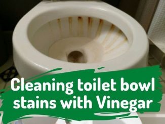 How To Clean Toilet Bowl Stains