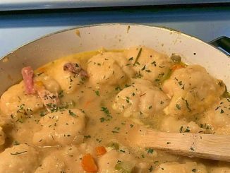 HOMEMADE CROCKPOT CHICKEN AND DUMPLINGS RECIPE