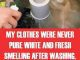 My Clothes Were Never Pure White and Fresh Smelling After Washing