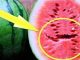 If you open a watermelon you find these cracks in it … DO NOT EAT IT!