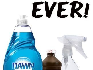 The ultimate stain remover that really works to remove stains, seriously! Never buy Oxyclean again!