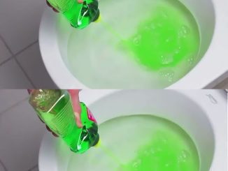 Dish soap in the toilet, a life-changing move – you’ll do it every day