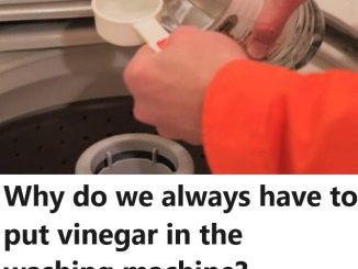 Why do we always have to put vinegar in the washing machine?