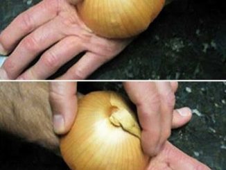 8 ways to use onion at home