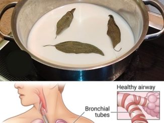 Bay Leaf, Milk, and Honey Remedy for Coughs and Congestion: A Must-Remember Recipe!