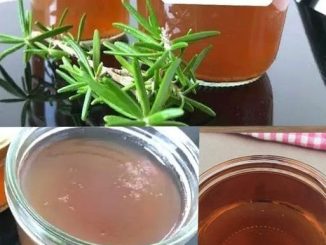 Homemade Rosemary Jelly Recipe with Garden Herbs