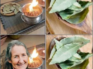 7 Things That Happen When You Burn a Bay Leaf at Home Every Night