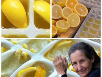 This is the reason why you should start freezing lemons – Only polite members say thank you