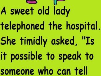 Funny Joke – Smart Old Lady