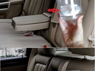 Put 1 glass of salt in the car, this solves a very common problem among motorists