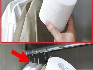 Place 1 roll of toilet paper in the closet and you will be surprised by the result