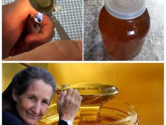 How to tell real honey from fake honey using a single, easy trick – Only polite members say thank you