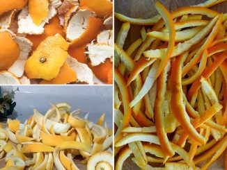 The Secret to Making Delicious Sugar-Free Orange Peel Jam