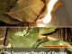 The Surprising Benefits of Burning Bay Leaves for a Healthier Home