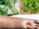 Parsley Can Help You Achieve Natural Fluid Balance