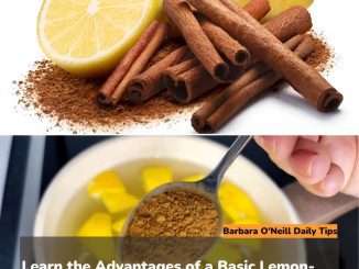 Learn the Advantages of a Basic Lemon-Cinnamon Drink for Managing Your Weight