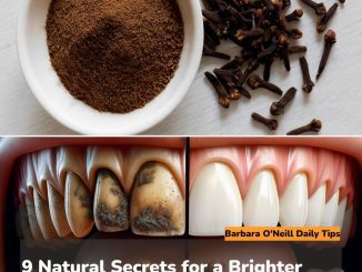 9 Natural Secrets for a Brighter Smile: Removing Plaque and Tartar