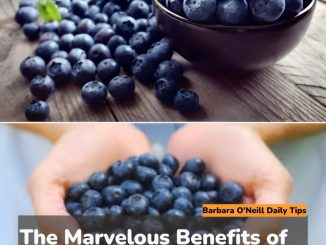 The Marvelous Benefits of Eating Blueberries Everyday